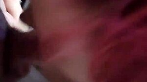 lucy amanita pov blowjob