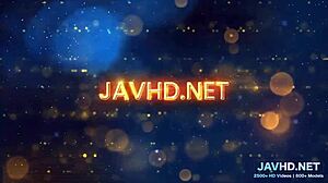 Legs in Stockings Vol 28