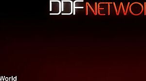 Wide Admiration Open