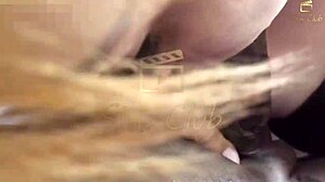 Tattooed Nymph Wrecked 😈