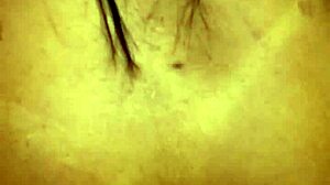 Novinha Favela Encounter