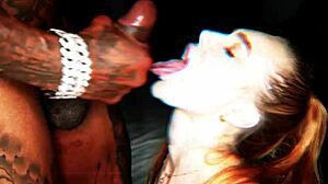 ultimate interracial compilation