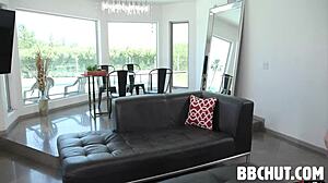 Chocolate Delight Treat