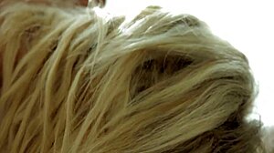 forbidden bed adventures