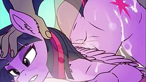 Pony Beach Adventure