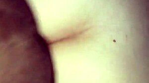 BBC Pounds Latina Ass