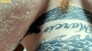 loira massagem creampie