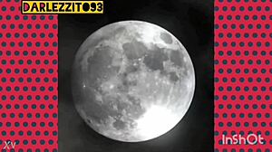 Rich Trans Encounter