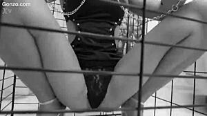 Caged Slut Assfucked!