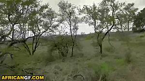 Ebony Girlfriend Sucks Cock