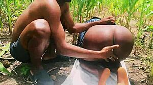 Kongkek Anjing Ladang Pukulan Batang