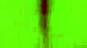 ladyboy intense holiday