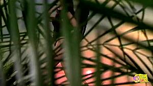 Costume Pussy Pounding