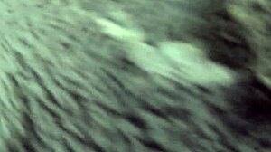 Milfycalla Activity Preview