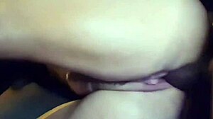 Passeio Carro Safafo!