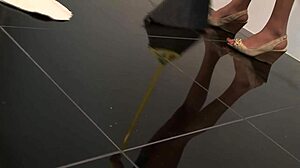 Passionate Cleaning Quickie