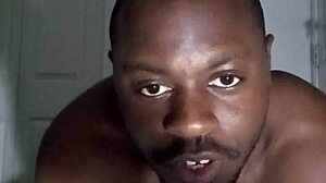 Free Exercise Routine