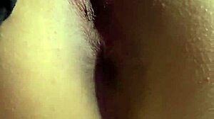 Chica bosque follando