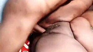 Update Petal Feature