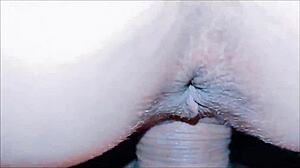 Intense Anal Encounter