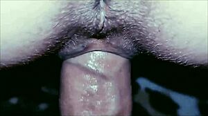 Homemade Porn Actors