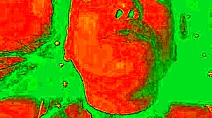 Exotic pussy licked pleasure