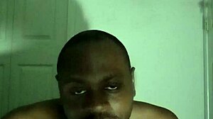 Free Exercise Routine