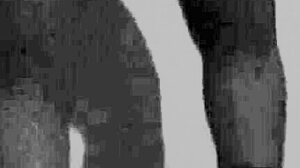 Halloween Hotwife Dance