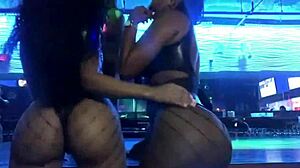 Ass Twerk Collection