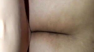 surprising curvy neighbor