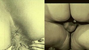 My Vintage Lesbian Secret