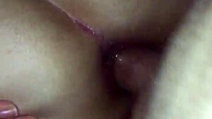 Wife Ibi Strict Anal