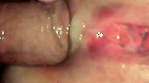 Anal Ass-to-Mouth Sextape