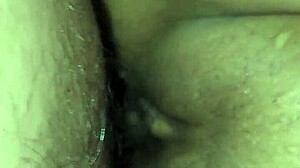 Wet Pussy Depilada