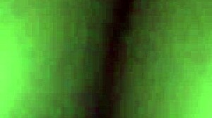 Festival Celebration