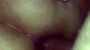 Wife Ibi Strict Anal