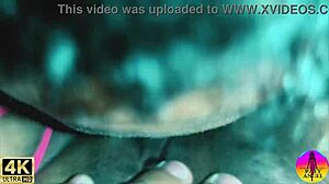 Pussy Licked Trailer