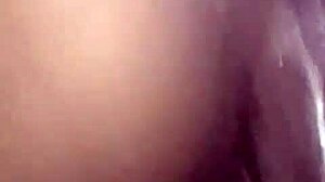 Festival Celebration