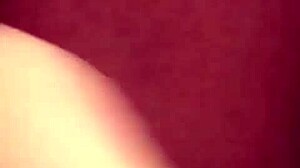 Festival Celebration