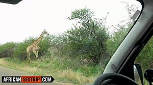 Ebony Pussy Stretched 🔥