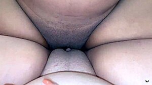 Ebony Pussy Tribbing Action