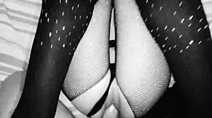 Latina Office Adventure