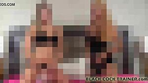 Suck Black Cock