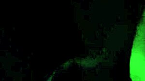 Sucking Huge Cock Dark