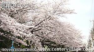 Japanese Wife Documentary