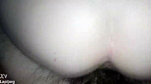 Culona Sentones Rico