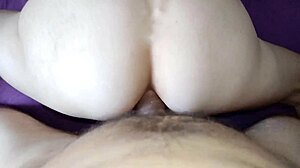 Wild Anal Experiment