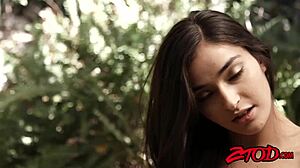 Emily Willis Hammered