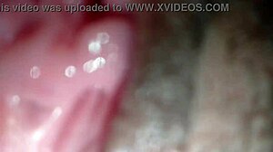 Shaved Pussy Creampie Fuck