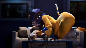 fhp highlights collection